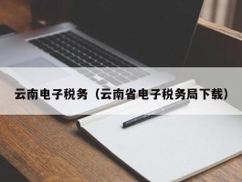 云南电子税务（云南省电子税务局下载）